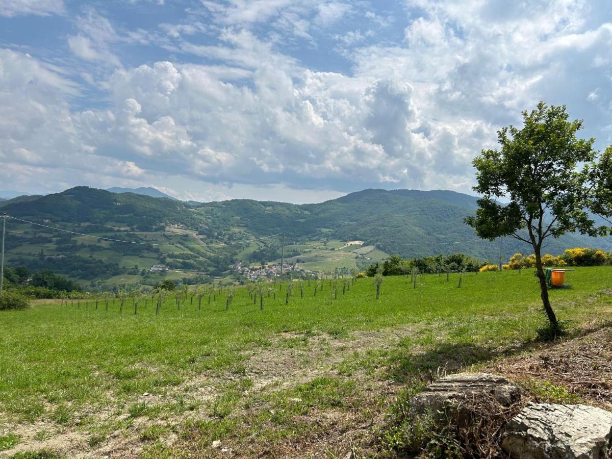 Agriturismo Cergallina Vernasca Экстерьер фото