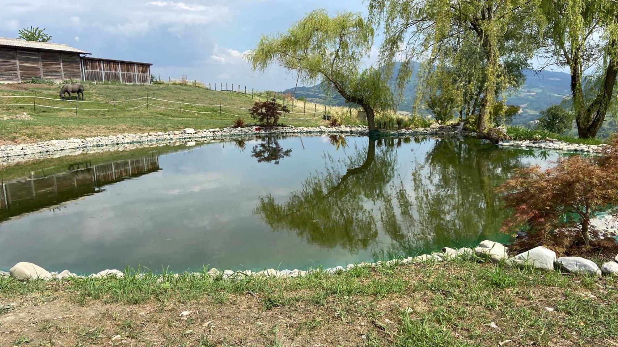 Agriturismo Cergallina Vernasca Экстерьер фото
