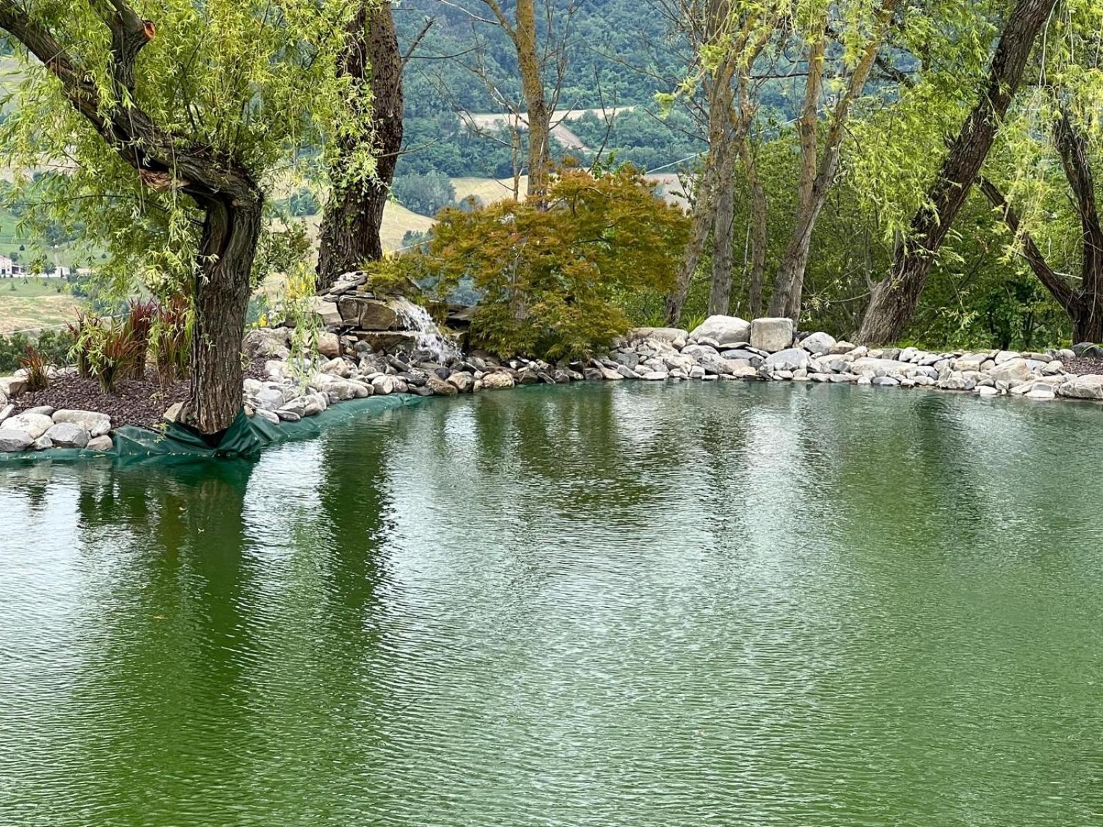 Agriturismo Cergallina Vernasca Экстерьер фото